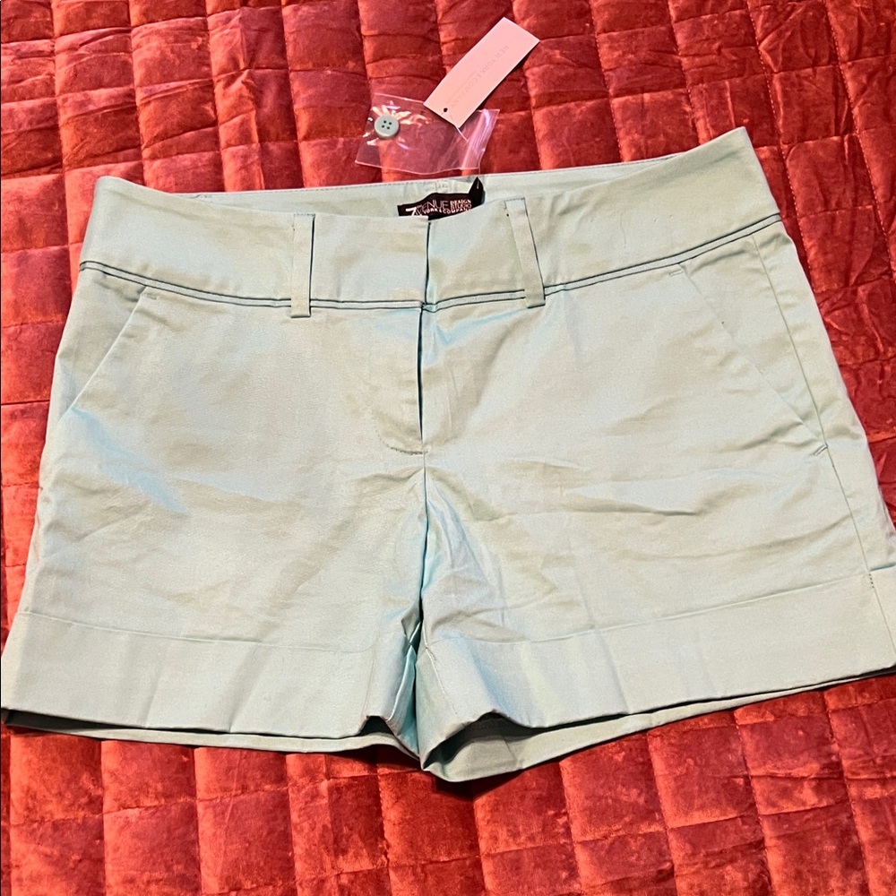 New York & Co Stylish Mint Green Women's Shorts